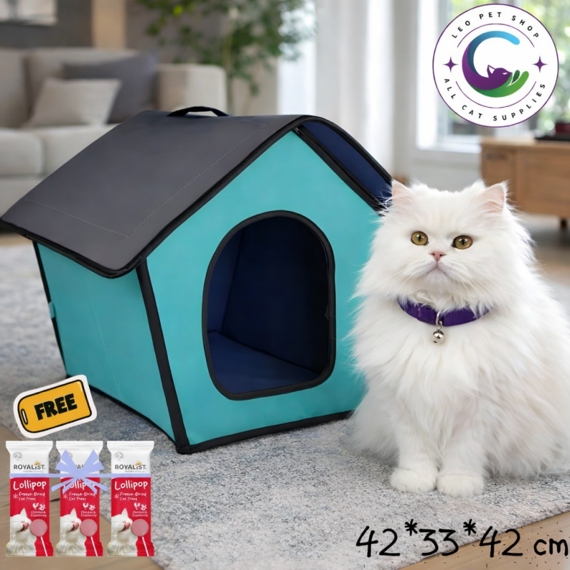 دفي بسبوسك وخد هدية عدد 3 من لولي بوب القطط😻