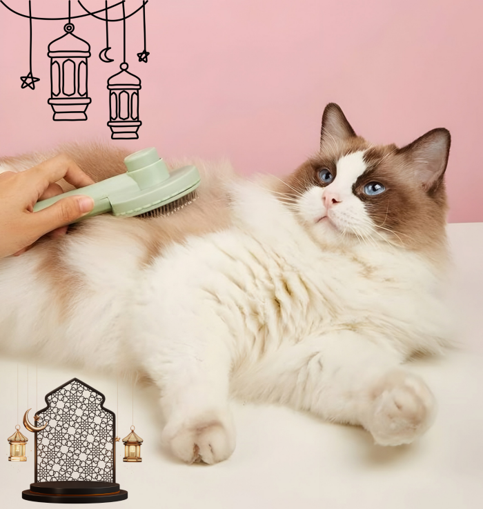 العناية الشخصية للقطط