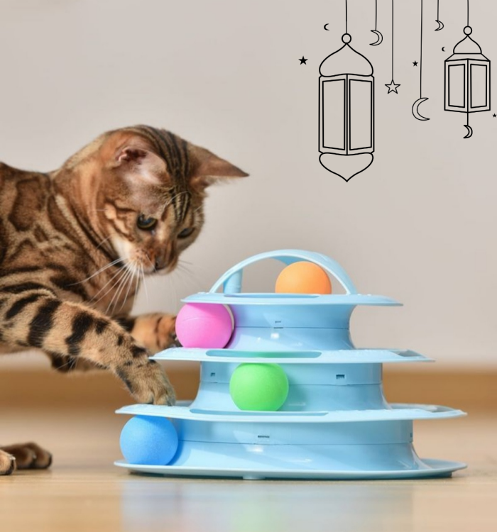 العاب القطط