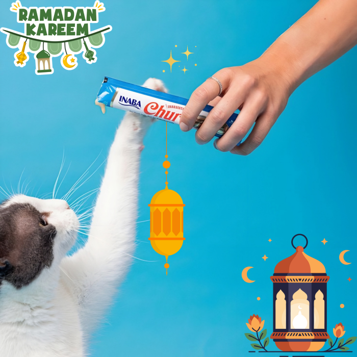 مكافآت القطط