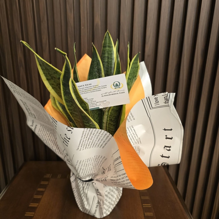 شتلات جوا البيت