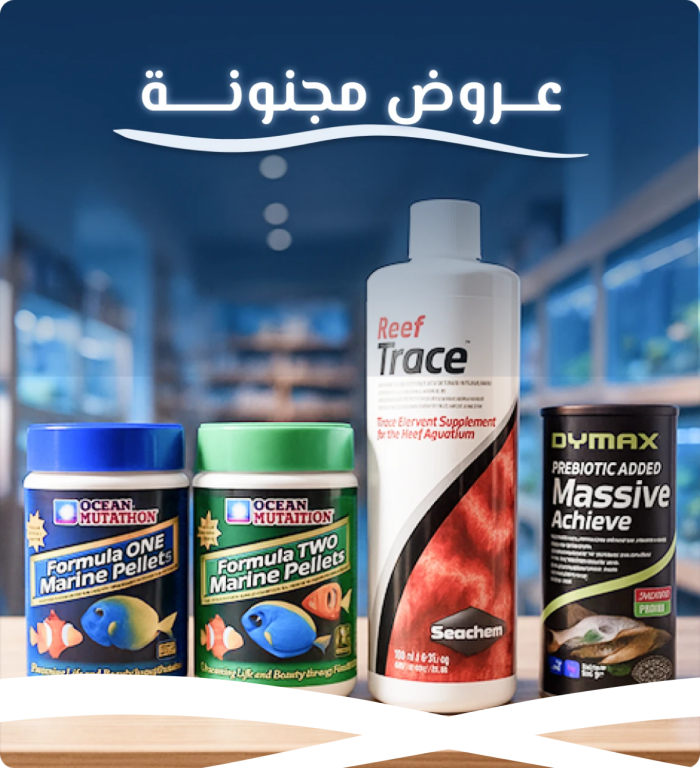 عروض مجنونة