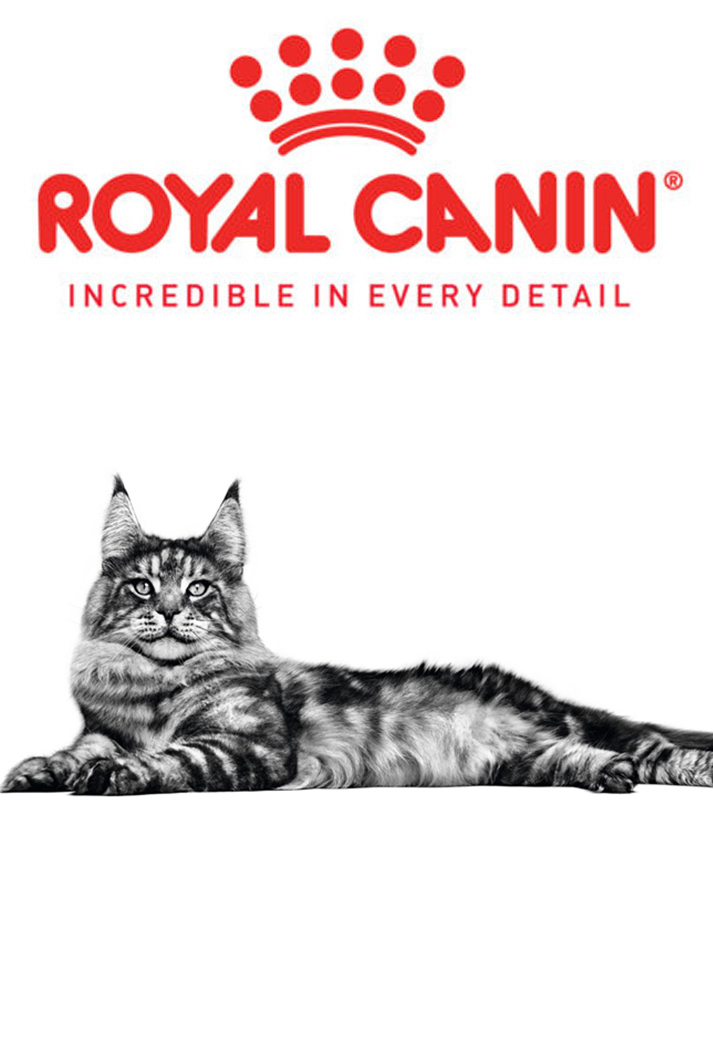 Royal canin  cats