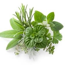 ورقيات خضراء وأعشاب