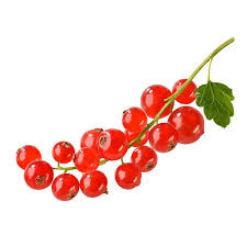 فواكة _ خضار