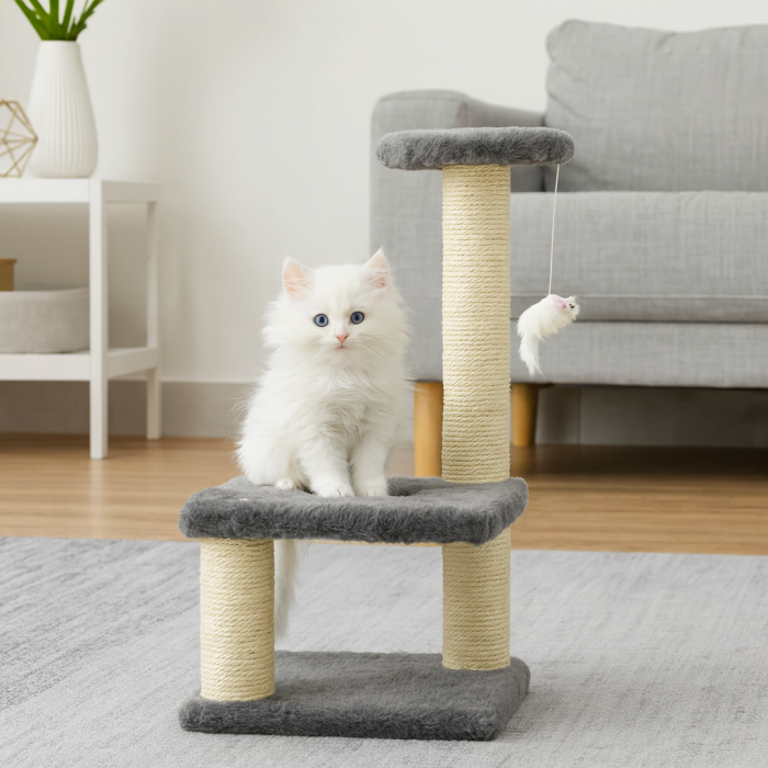 العاب القطط