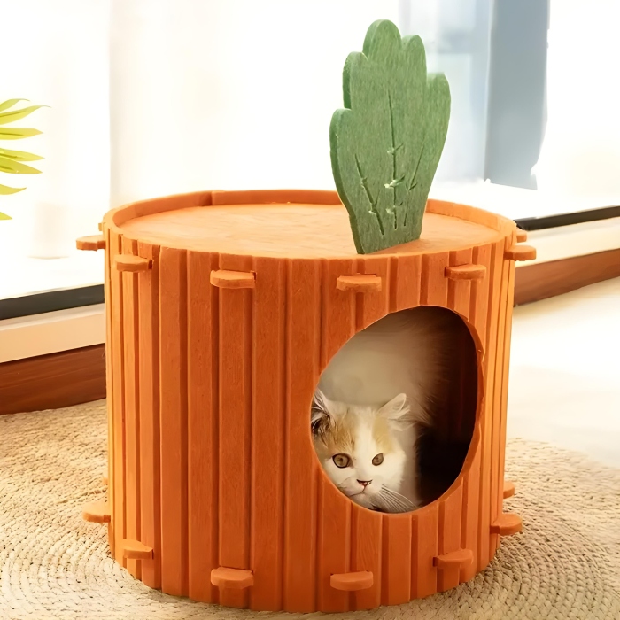 إكسسوارات القطط